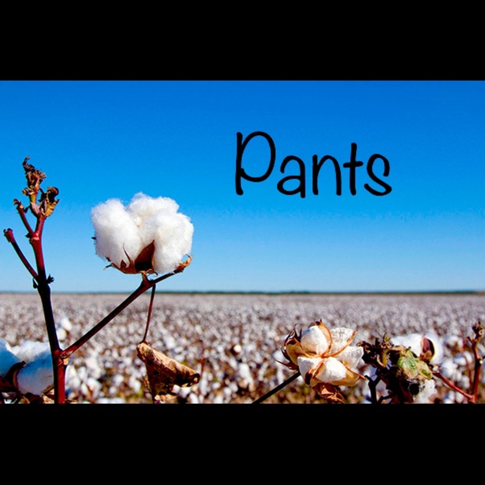 Pants